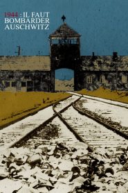 Bombe su Auschwitz? Online In Netflix