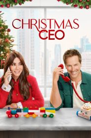 Christmas CEO Online In Netflix