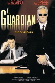 The Guardian Online In Netflix