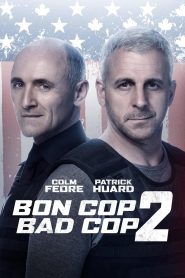 Dos policías en apuros 2 Online In Netflix