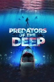 Predators of the Deep: The Hunt for the Lost Four Online In Netflix