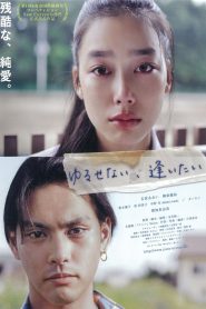 ゆるせない、逢いたい Online In Netflix