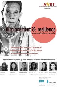 Displacement and Resilience Online In Netflix