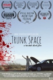 Trunk Space Online In Netflix