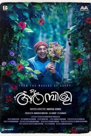അമ്പിളി Online In Netflix