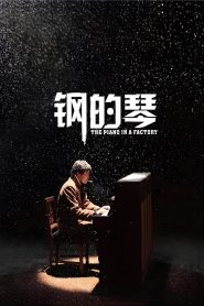 钢的琴 Online In Netflix
