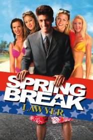 Spring Break Lawyer Online In Netflix