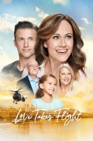 Love Takes Flight Online In Netflix