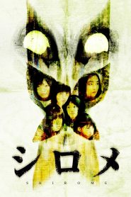 シロメ Online In Netflix