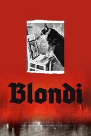 Blondi Online In Netflix