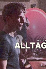 Alltag Online In Netflix