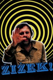 Žižek! Online In Netflix