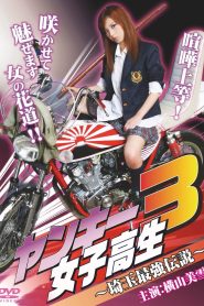 ヤンキー女子高生3 ～埼玉最強伝説～ Online In Netflix