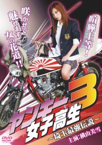 ヤンキー女子高生3 ～埼玉最強伝説～ Online In Netflix
