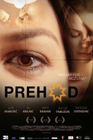 Prehod Online In Netflix