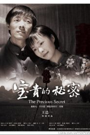 宝贵的秘密 Online In Netflix