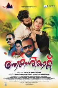 തെങ്കാശിക്കാറ്റ് Online In Netflix