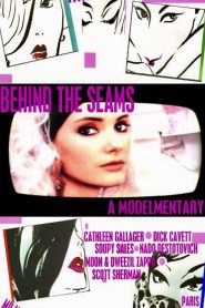 Behind the Seams Online In Netflix
