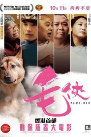 毛俠 Online In Netflix
