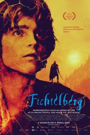 Fichtelberg Online In Netflix
