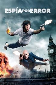 Espía por error Online In Netflix