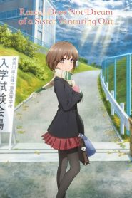 Rascal Does Not Dream of a Sister Venturing Out Online In Netflix