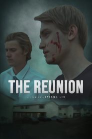 The Reunion Online In Netflix