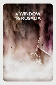 Pela Janela Online In Netflix
