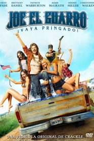 Joe Dirt 2: Beautiful Loser Online In Netflix