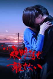 夜明けまで離さない Online In Netflix