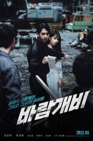 바람개비 Online In Netflix