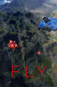 Fly Online In Netflix
