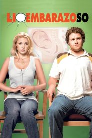 Ligeramente Embarazada Online In Netflix