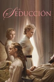 El seductor Online In Netflix