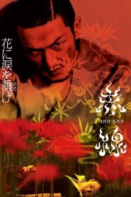 赤線 Online In Netflix