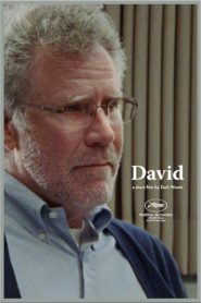 David Online In Netflix