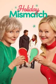 Holiday Mismatch Online In Netflix