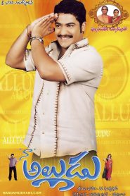 నా అల్లుడు Online In Netflix