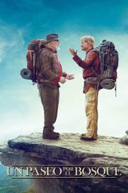 Grandes Amigos Online In Netflix