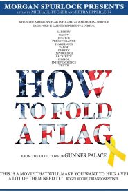 How to Fold a Flag Online In Netflix