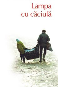 Lampa cu căciulă Online In Netflix