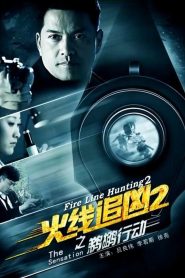 火线追凶2之鹈鹕行动 Online In Netflix