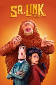 Sr. Link Online In Netflix