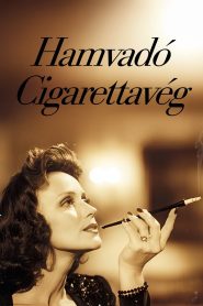 Hamvadó cigarettavég Online In Netflix