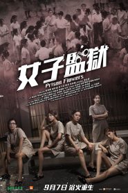 女子監獄 Online In Netflix