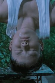 秘密金鱼 Online In Netflix