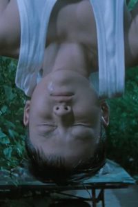 秘密金鱼 Online In Netflix