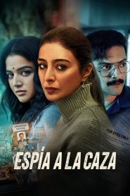 Espía a la caza Online In Netflix