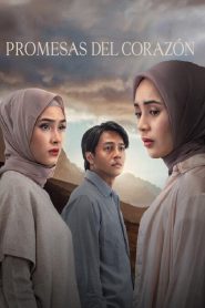 Promesas del corazón Online In Netflix