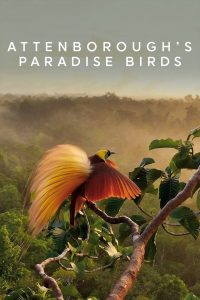 Attenborough’s Paradise Birds Online In Netflix